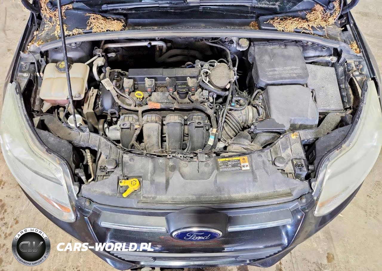 2014 Ford Focus Se VIN:1FADP3K2XEL154885 - 12