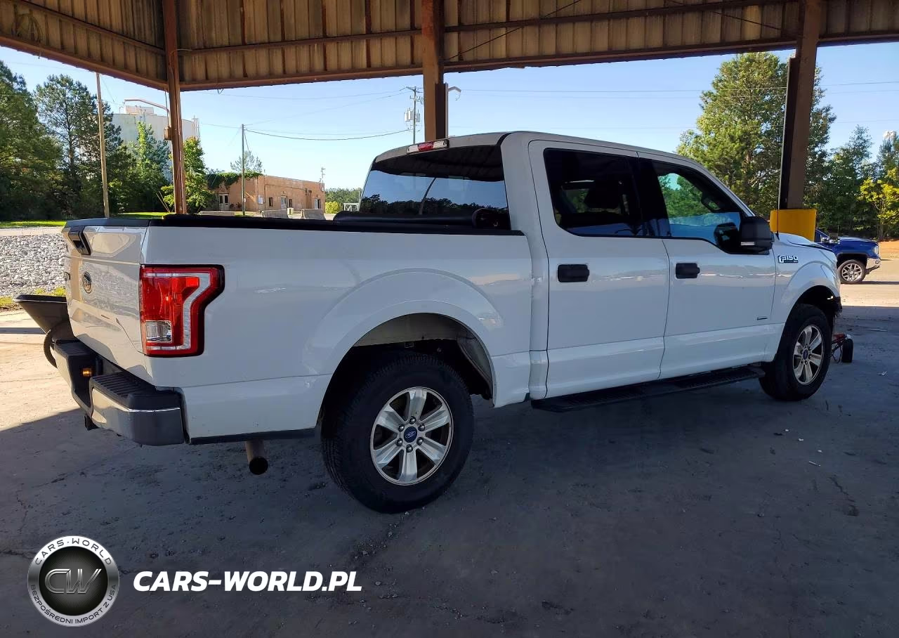 2015 Ford F150 Supercrew VIN:1FTEW1CP7FFC26058 - 3