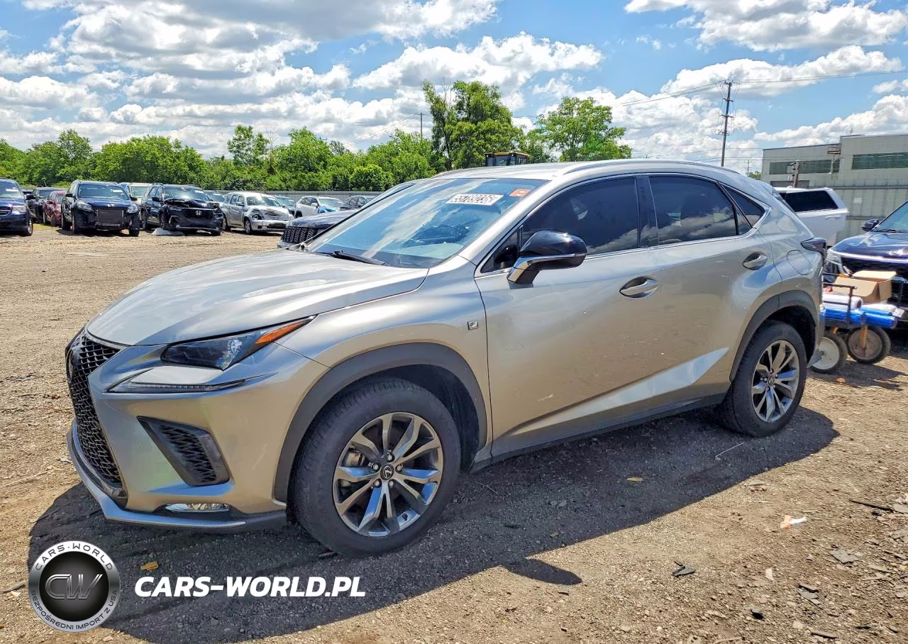 2020 Lexus Nx 300 F Sport