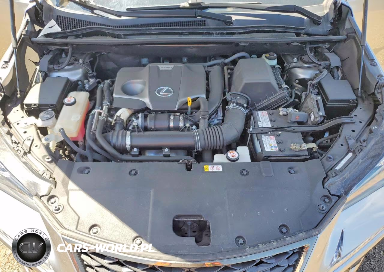 2020 Lexus Nx 300 F Sport VIN:JTJJARBZXL2174617 - 12