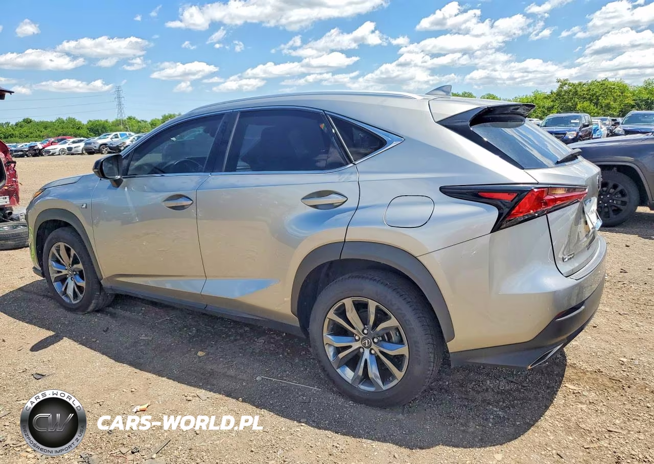 2020 Lexus Nx 300 F Sport VIN:JTJJARBZXL2174617 - 2