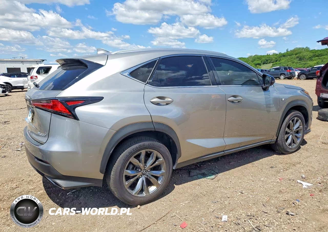 2020 Lexus Nx 300 F Sport VIN:JTJJARBZXL2174617 - 3