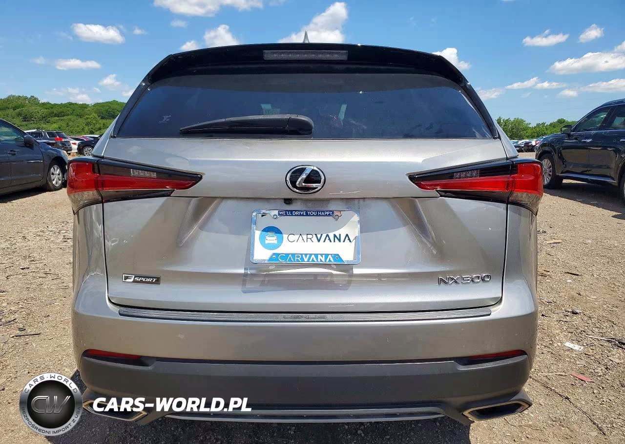 2020 Lexus Nx 300 F Sport VIN:JTJJARBZXL2174617 - 6
