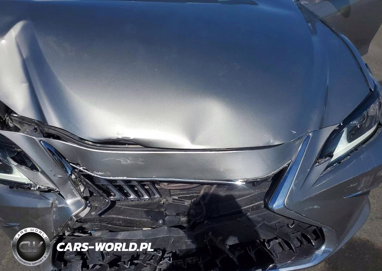 2019 Lexus Es 300H VIN:58AB21B14KU004230 - 11