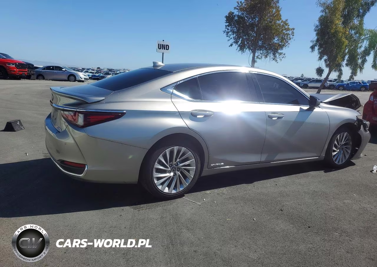 2019 Lexus Es 300H VIN:58AB21B14KU004230 - 3
