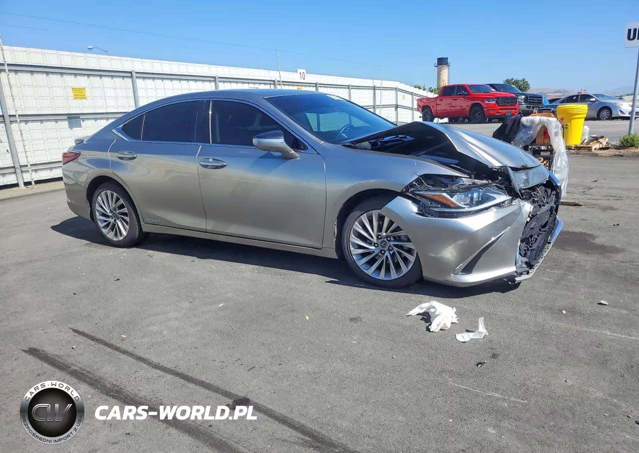 2019 Lexus Es 300H VIN:58AB21B14KU004230 - 4