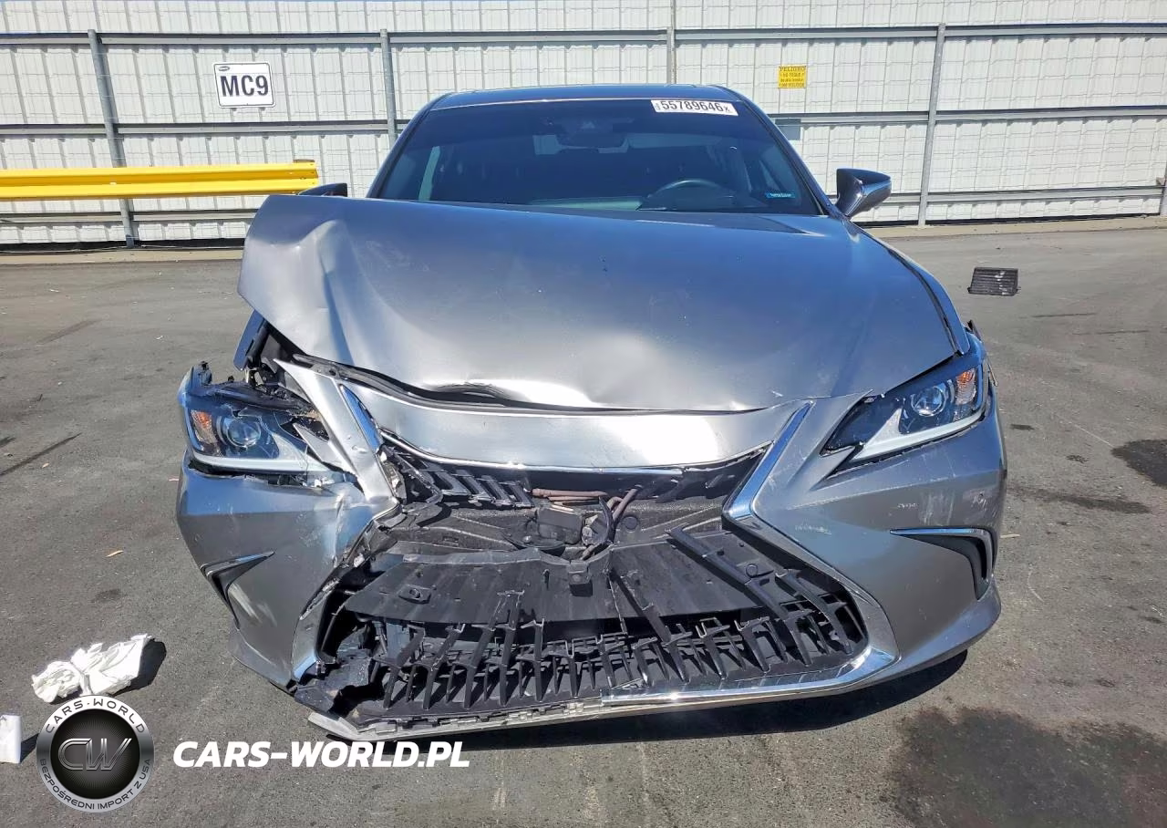 2019 Lexus Es 300H VIN:58AB21B14KU004230 - 5
