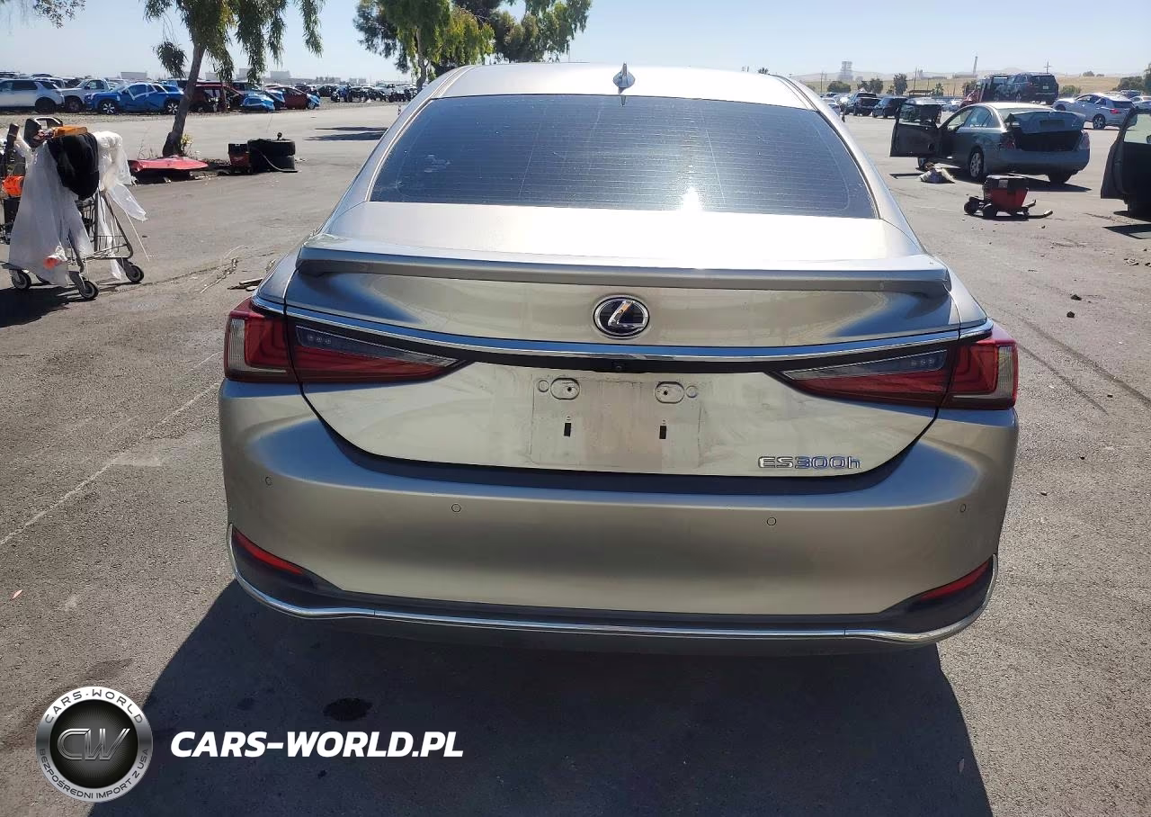 2019 Lexus Es 300H VIN:58AB21B14KU004230 - 6
