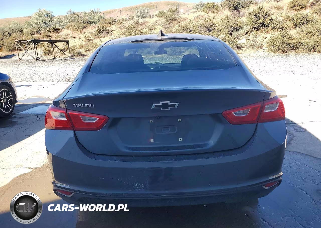 2020 Chevrolet Malibu Ls VIN:1G1ZB5ST6LF118943 - 6