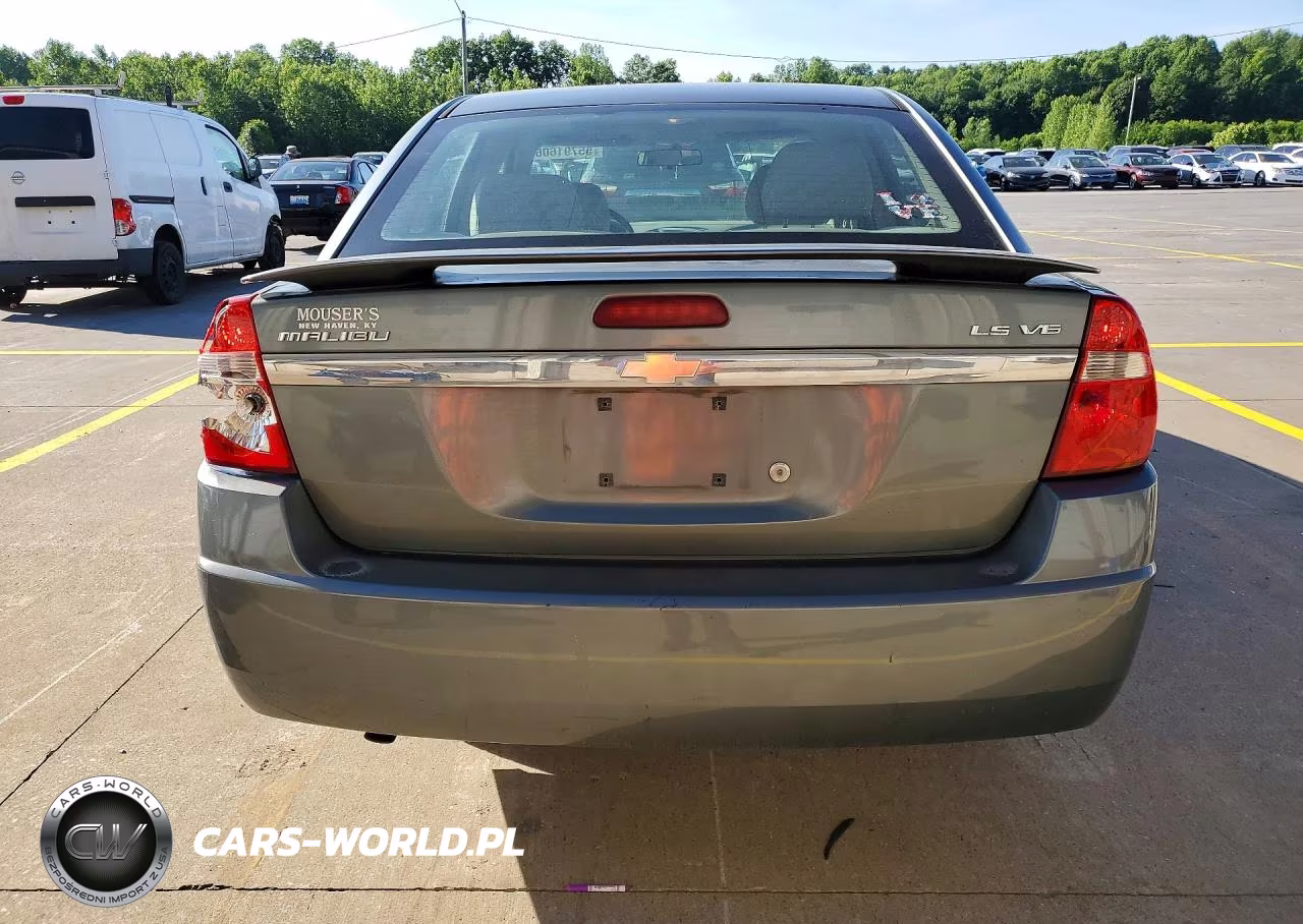 2004 Chevrolet Malibu Ls VIN:1G1ZT54834F127445 - 6