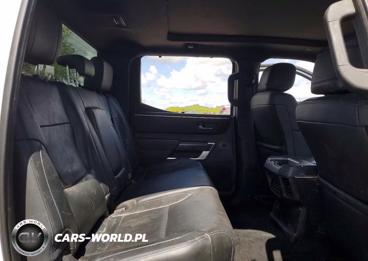 2025 Toyota Tundra Platinum Hv VIN:5TFNC5DBXSX093206 - 10