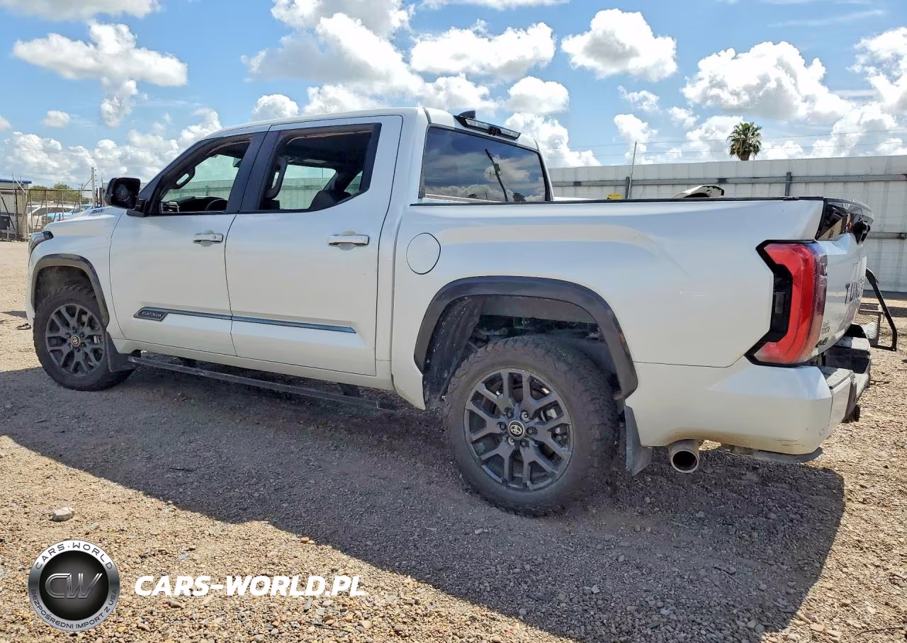 2025 Toyota Tundra Platinum Hv VIN:5TFNC5DBXSX093206 - 2