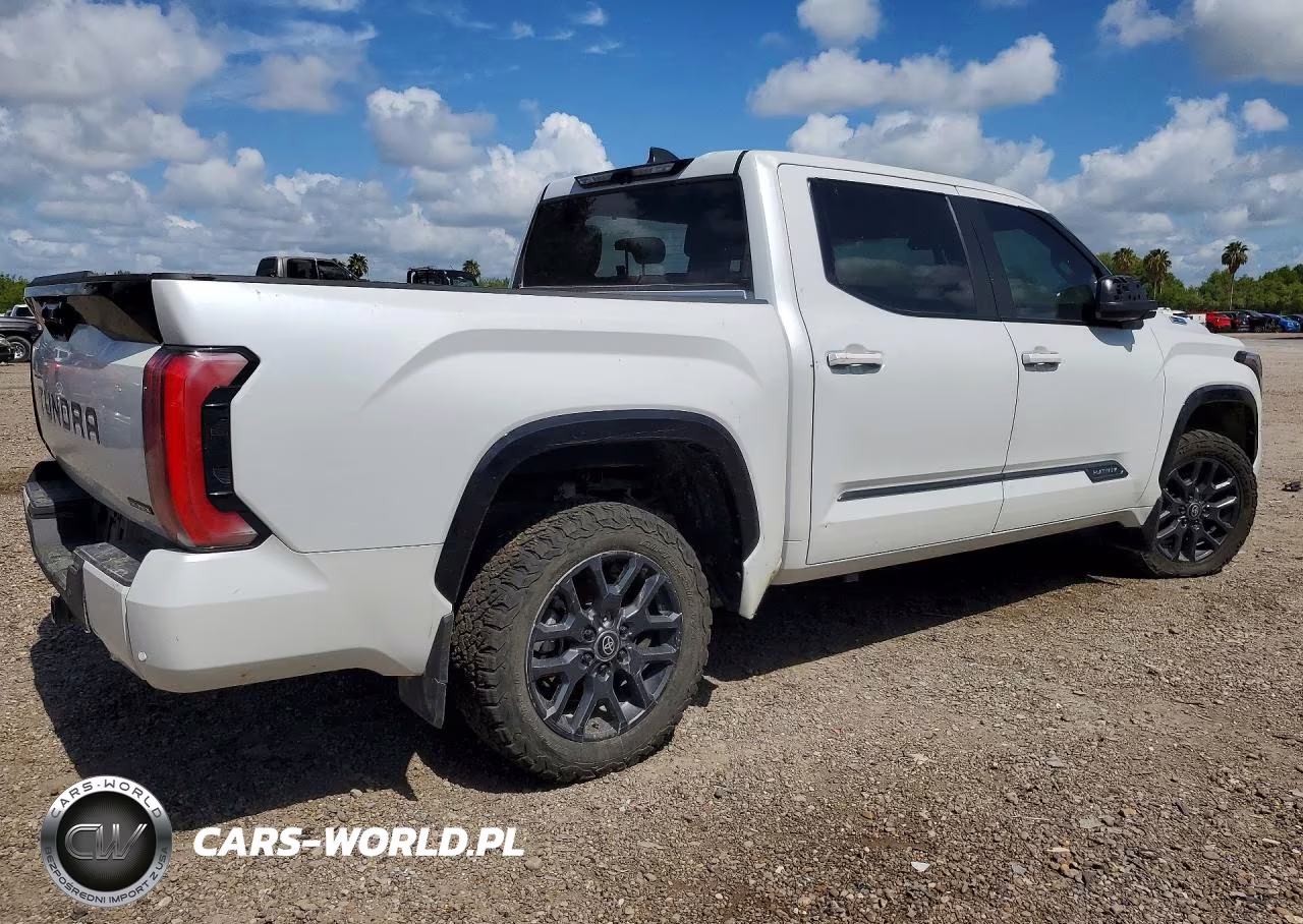 2025 Toyota Tundra Platinum Hv VIN:5TFNC5DBXSX093206 - 3