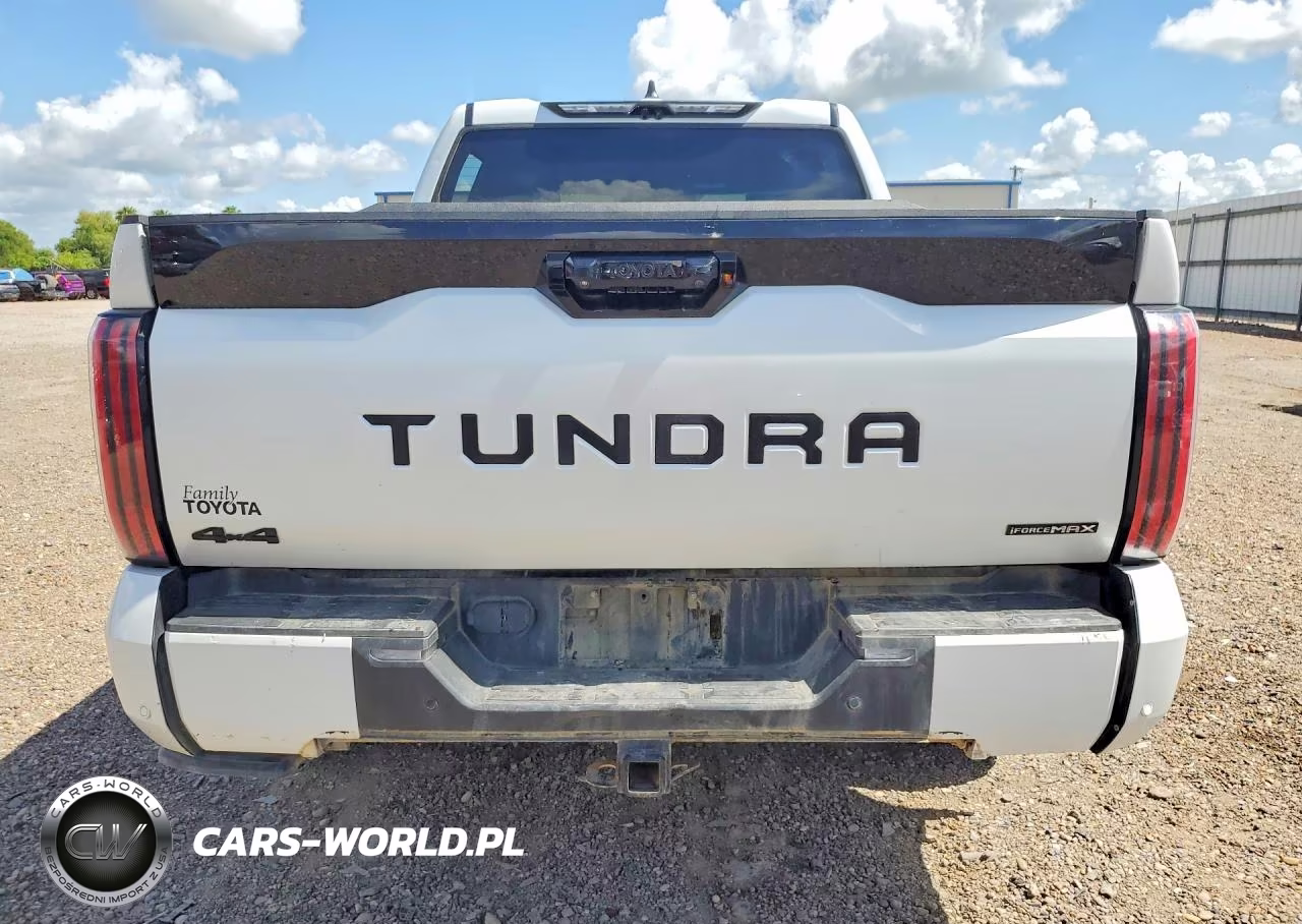 2025 Toyota Tundra Platinum Hv VIN:5TFNC5DBXSX093206 - 6