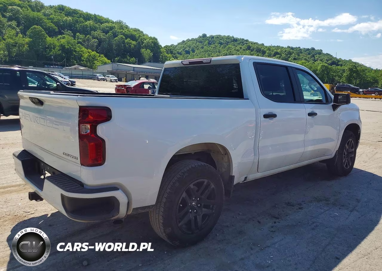 2022 Chevrolet Silverado K1500 Custom VIN:1GCPDBEK4NZ637646 - 3