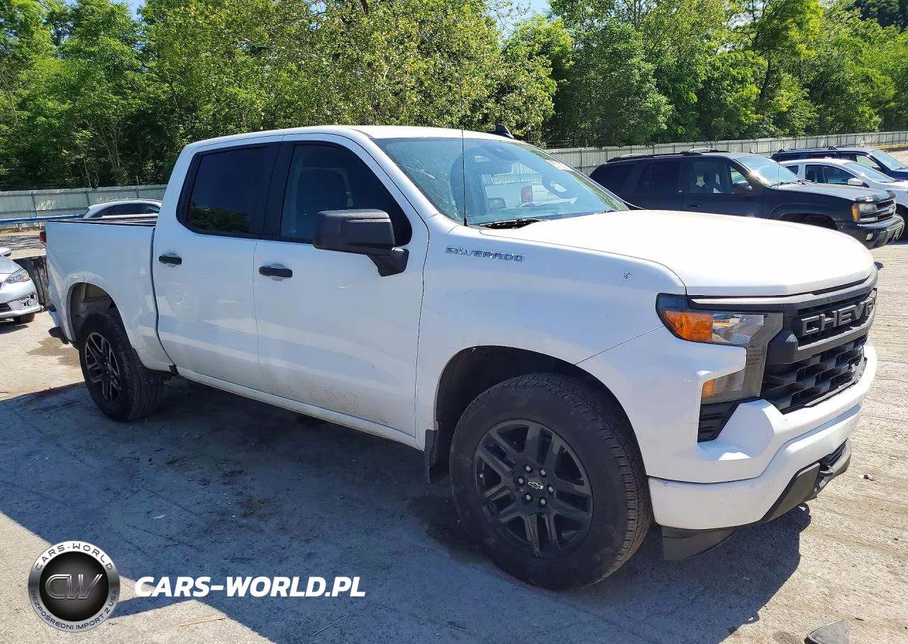 2022 Chevrolet Silverado K1500 Custom VIN:1GCPDBEK4NZ637646 - 4