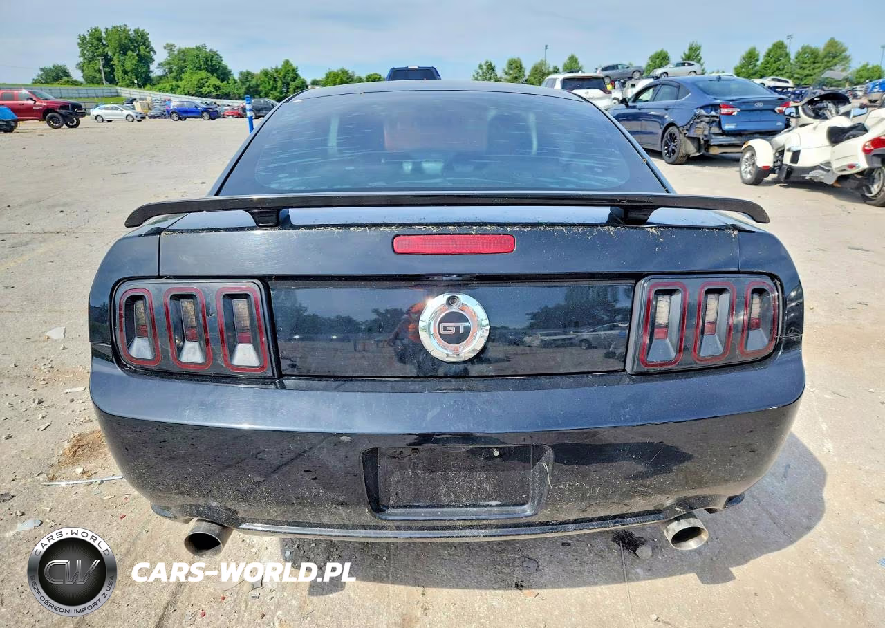 2008 Ford Mustang Gt VIN:1ZVHT82H985124775 - 6