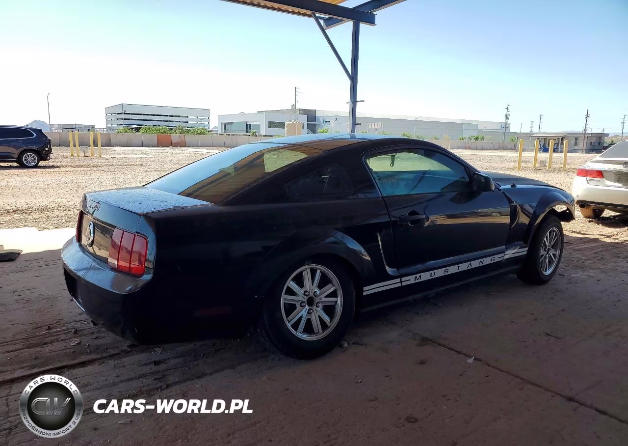 2005 Ford Mustang VIN:1ZVFT80NX55234889 - 3