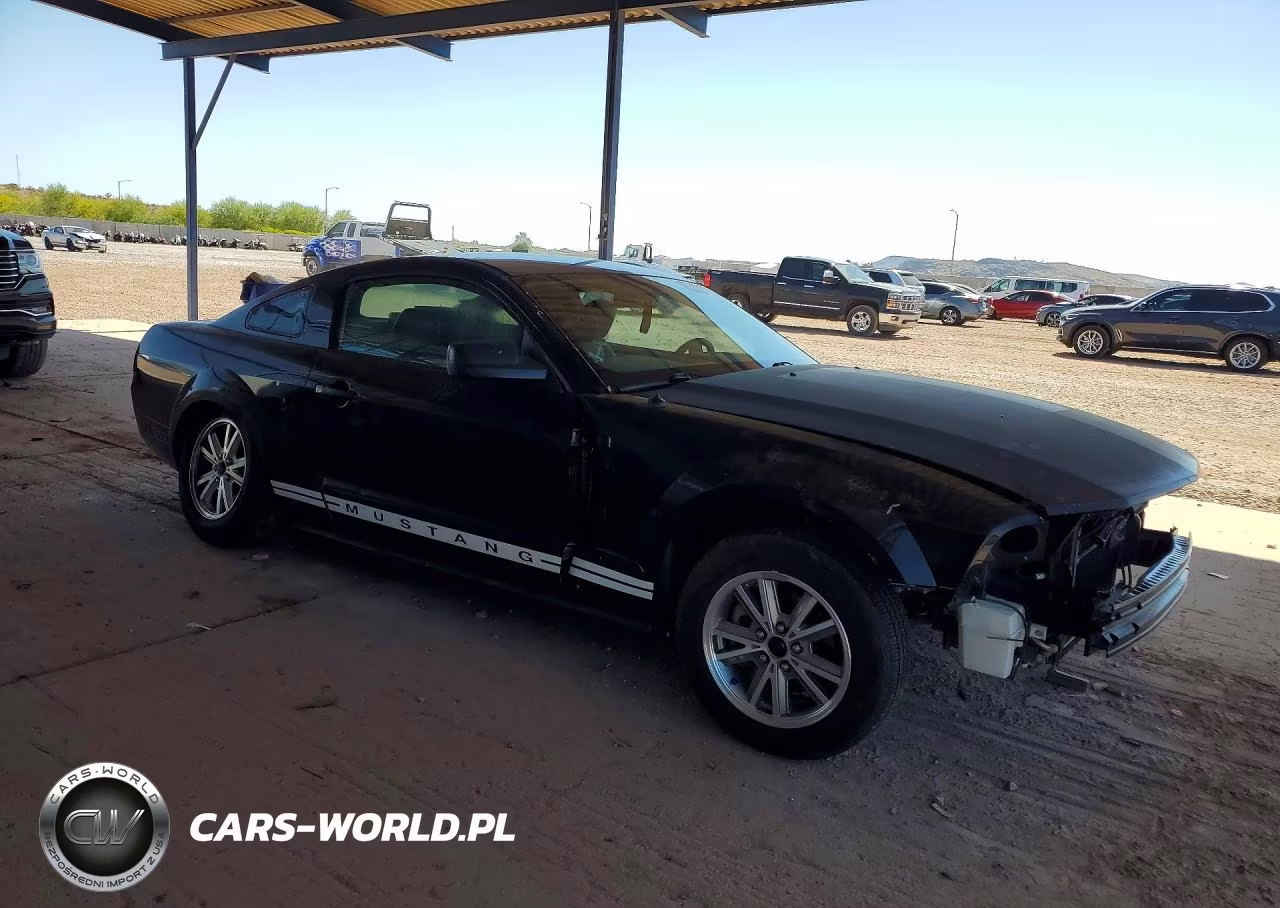 2005 Ford Mustang VIN:1ZVFT80NX55234889 - 4