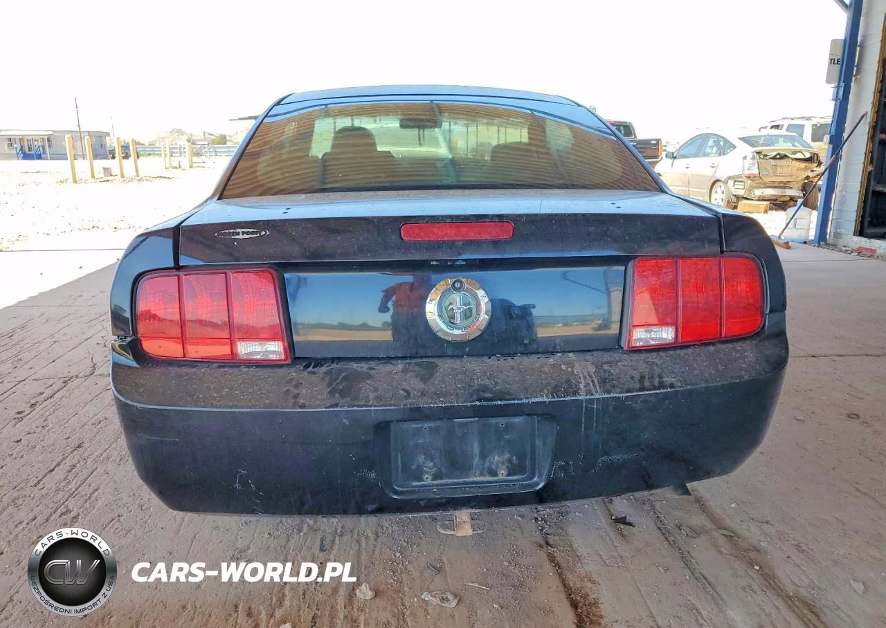 2005 Ford Mustang VIN:1ZVFT80NX55234889 - 6