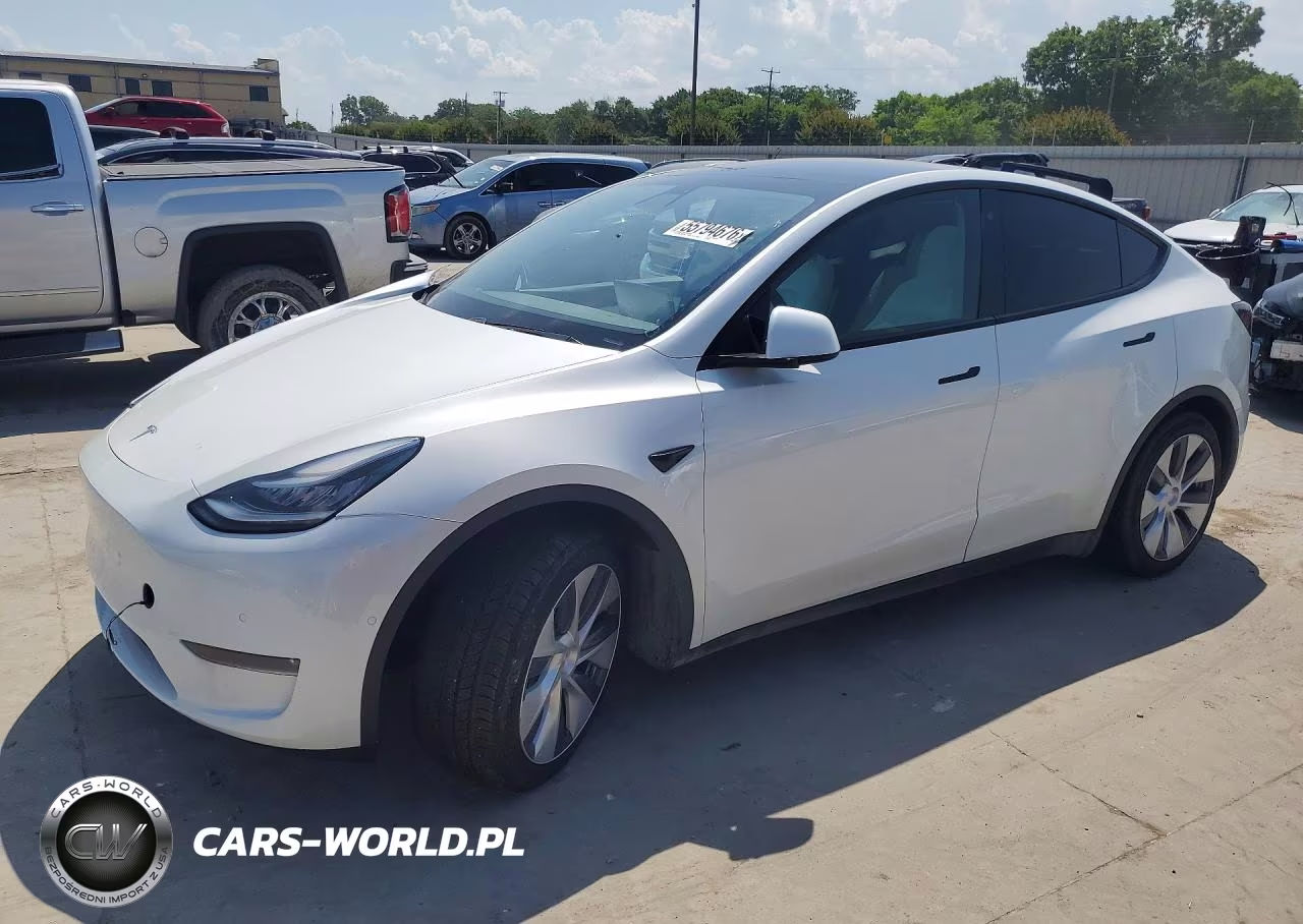 2020 Tesla Model Y