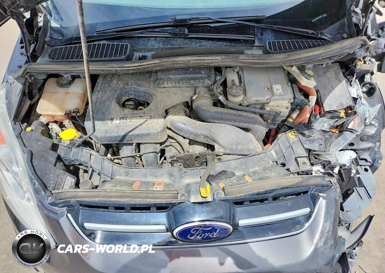 2016 Ford C-Max Sel VIN:1FADP5BU6GL109426 - 11