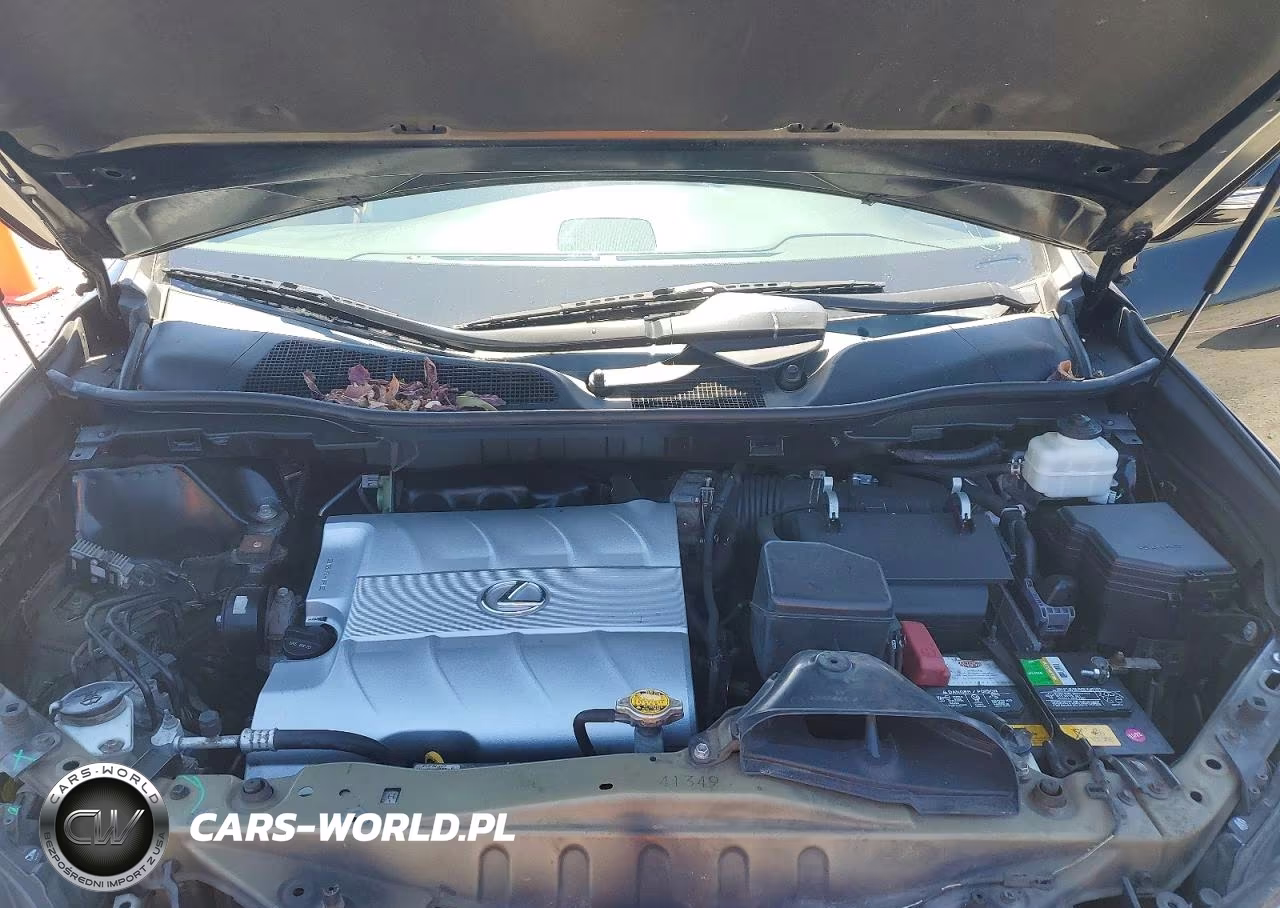 2010 Lexus Rx 350 VIN:2T2BK1BA1AC061617 - 12