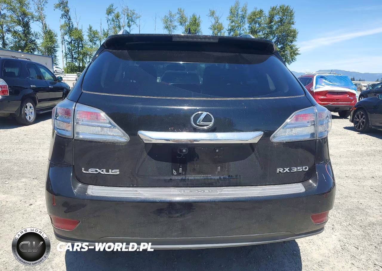 2010 Lexus Rx 350 VIN:2T2BK1BA1AC061617 - 6