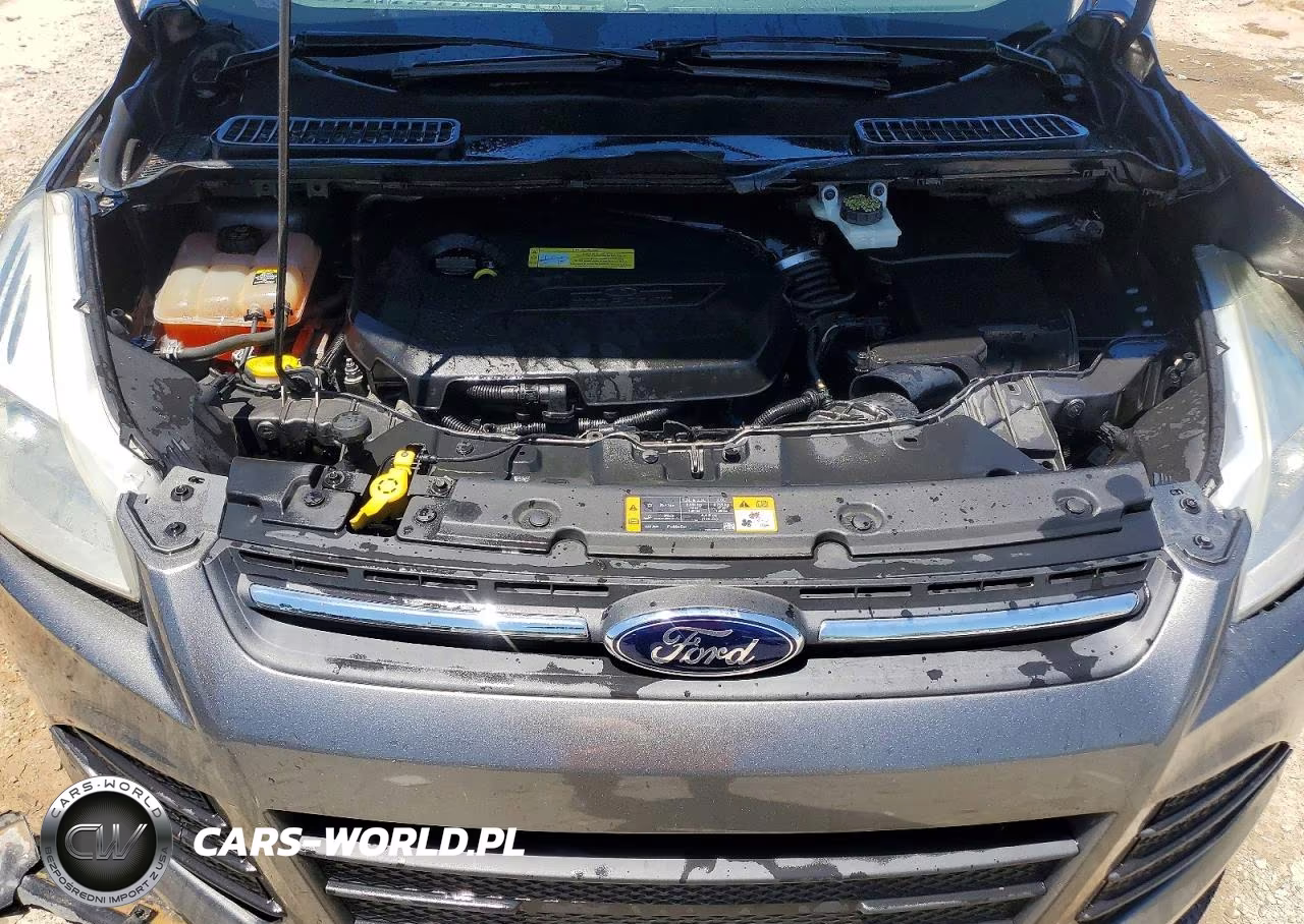 2013 Ford Escape Se VIN:1FMCU0GX7DUD36193 - 12