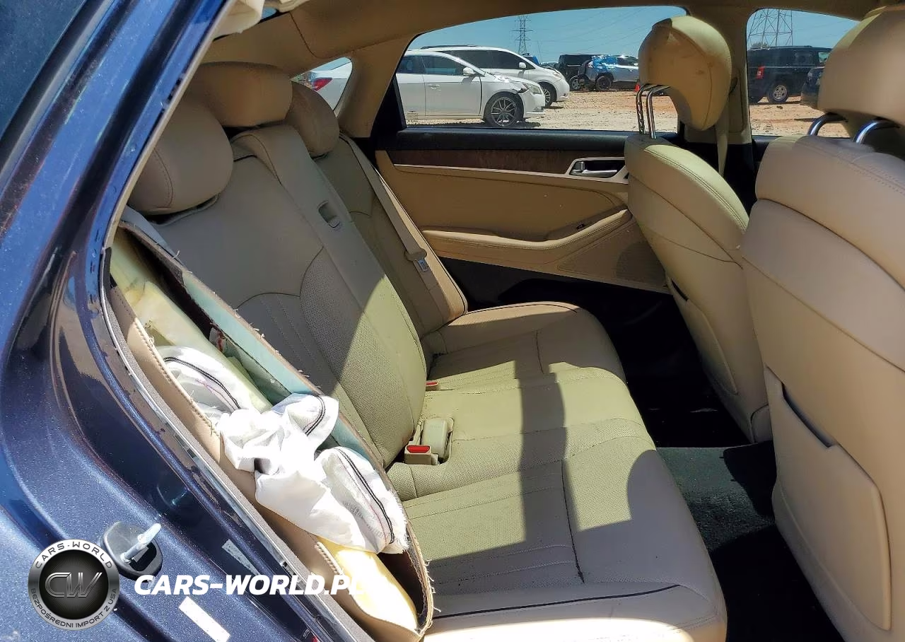 2017 Genesis G80 Ultimate VIN:KMHGN4JF0HU213847 - 10