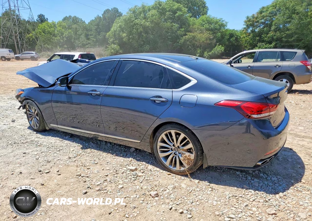2017 Genesis G80 Ultimate VIN:KMHGN4JF0HU213847 - 2