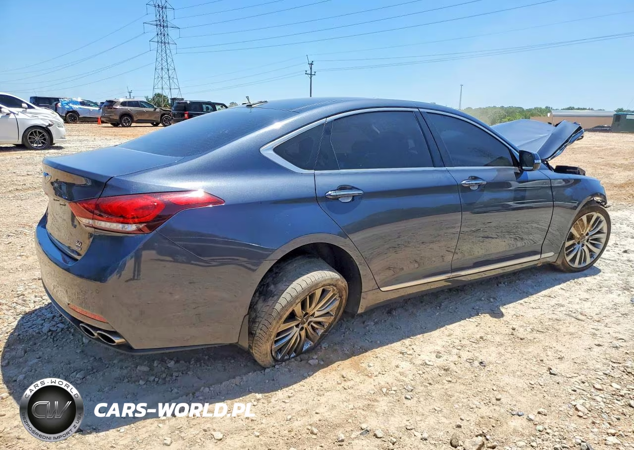 2017 Genesis G80 Ultimate VIN:KMHGN4JF0HU213847 - 3