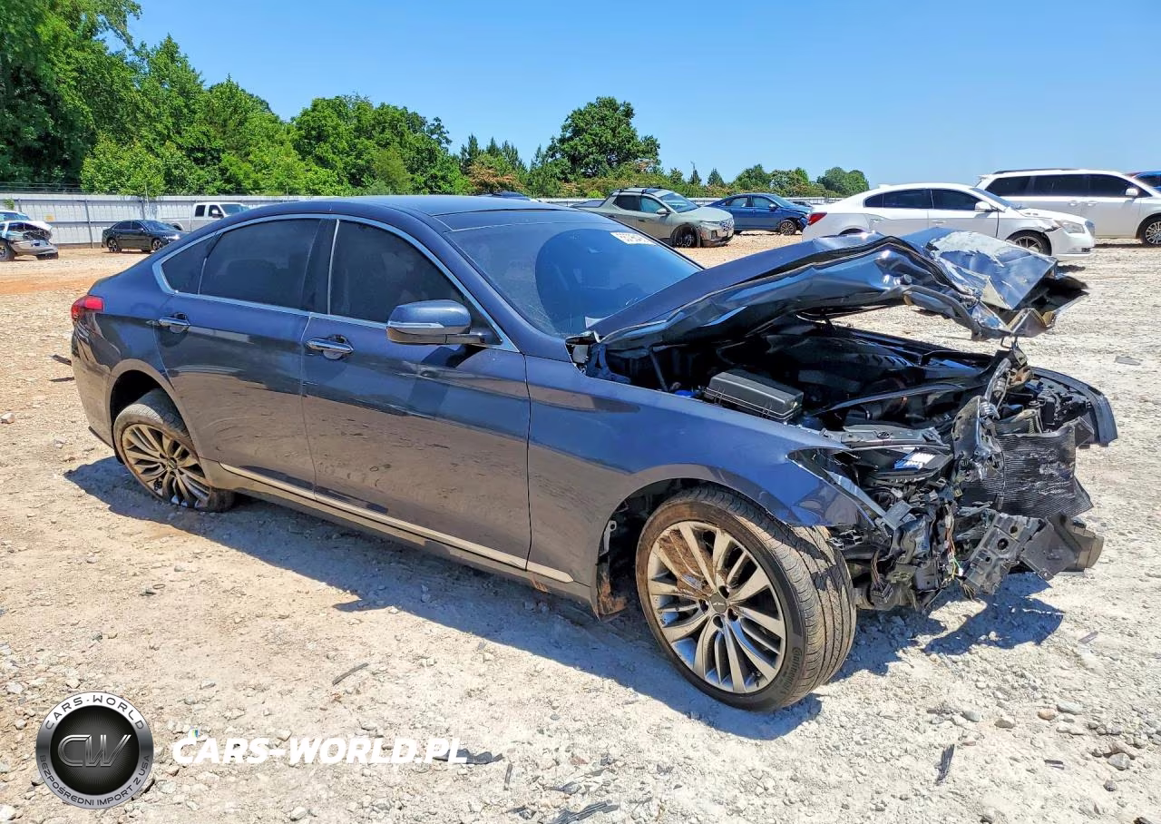 2017 Genesis G80 Ultimate VIN:KMHGN4JF0HU213847 - 4