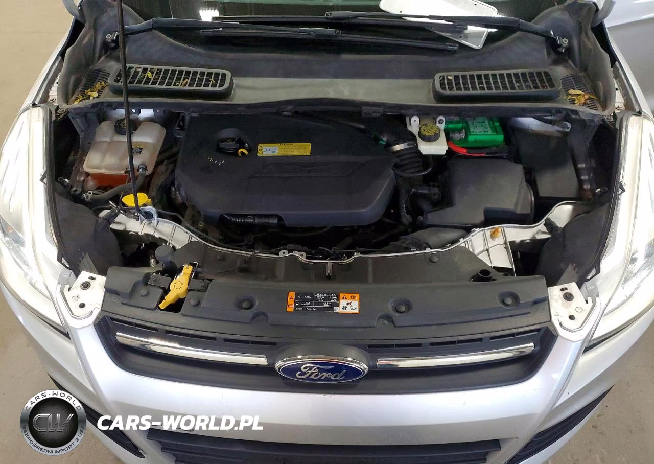 2013 Ford Escape Se VIN:1FMCU9GX5DUC86057 - 12