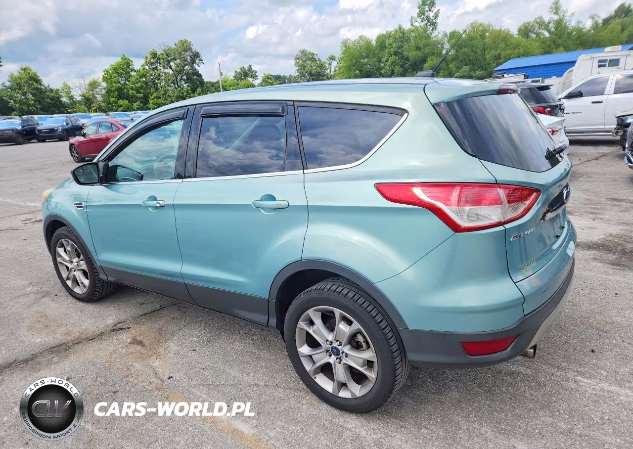 2013 Ford Escape Sel VIN:1FMCU0H99DUA87587 - 2