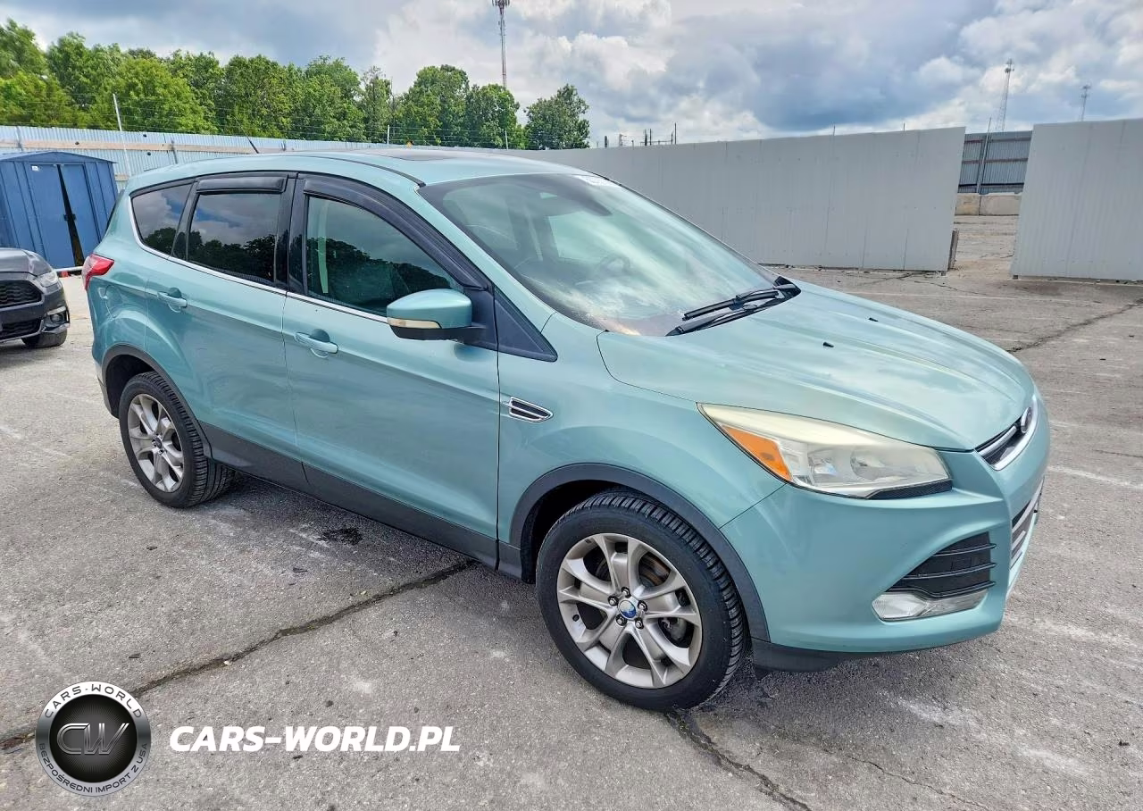 2013 Ford Escape Sel VIN:1FMCU0H99DUA87587 - 4