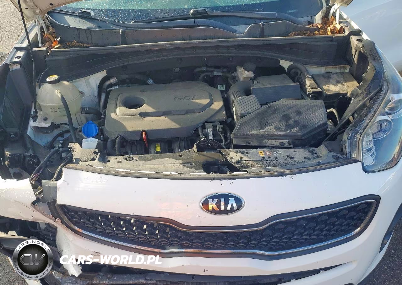 2018 Kia Sportage Lx VIN:KNDPM3AC2J7430571 - 12