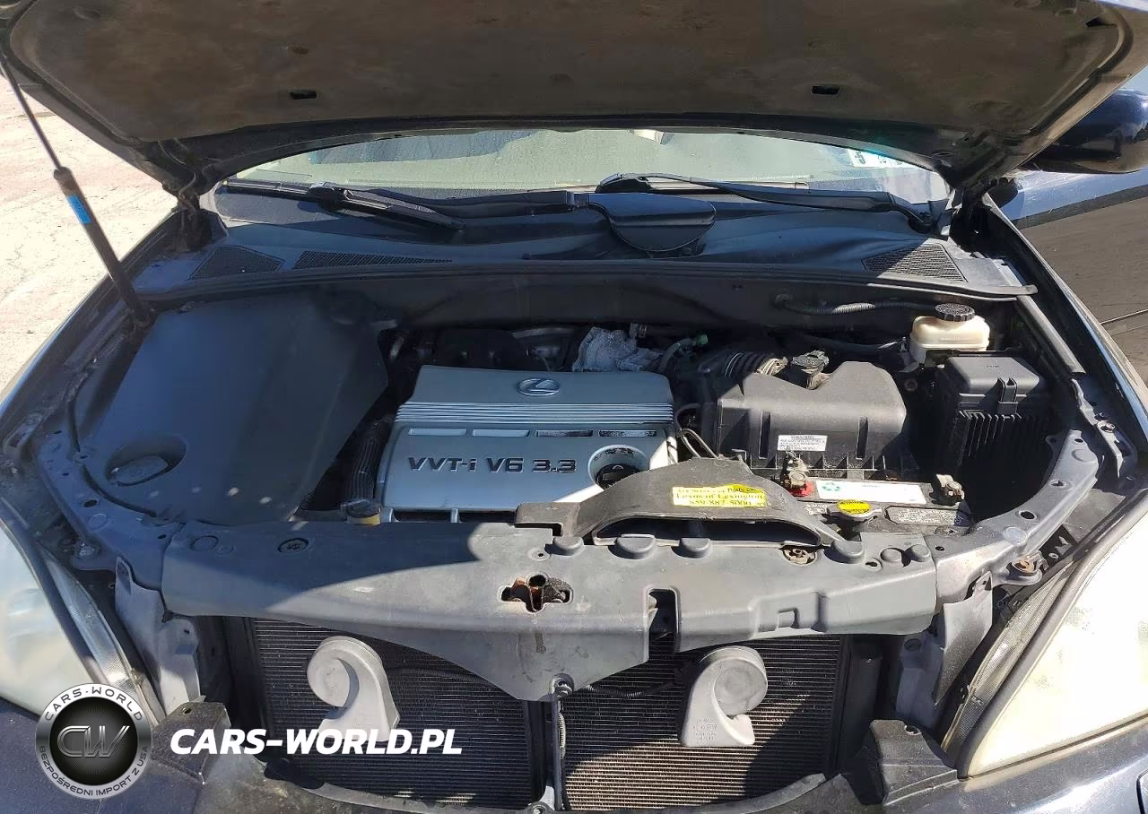 2006 Lexus Rx 330 VIN:2T2HA31UX6C089783 - 12