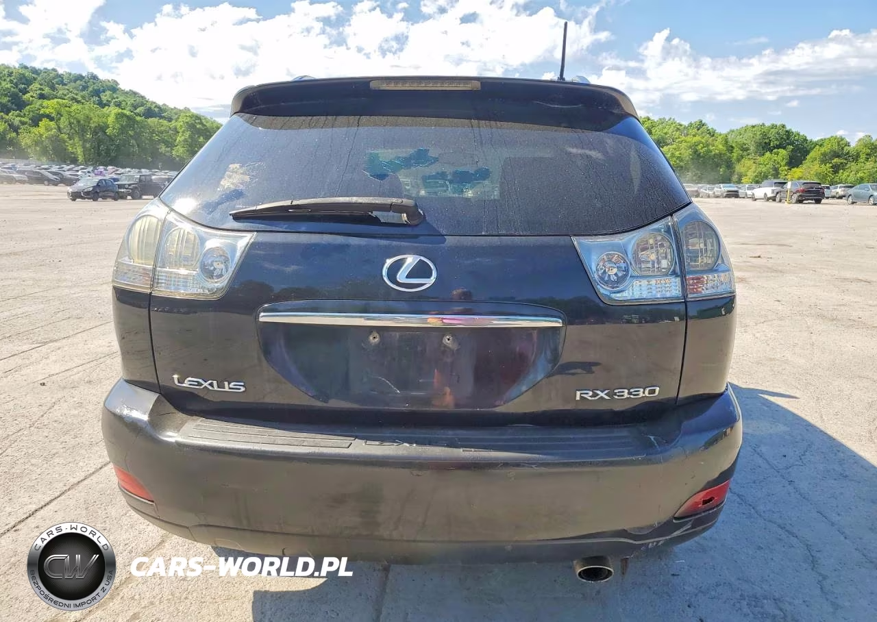 2006 Lexus Rx 330 VIN:2T2HA31UX6C089783 - 6