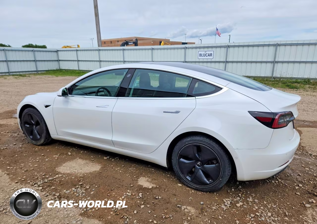 2019 Tesla Model 3 VIN:5YJ3E1EB5KF361551 - 2