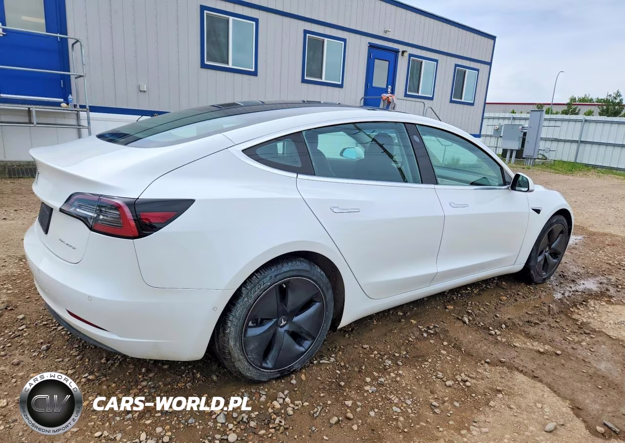 2019 Tesla Model 3 VIN:5YJ3E1EB5KF361551 - 3