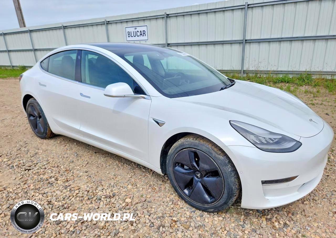 2019 Tesla Model 3 VIN:5YJ3E1EB5KF361551 - 4