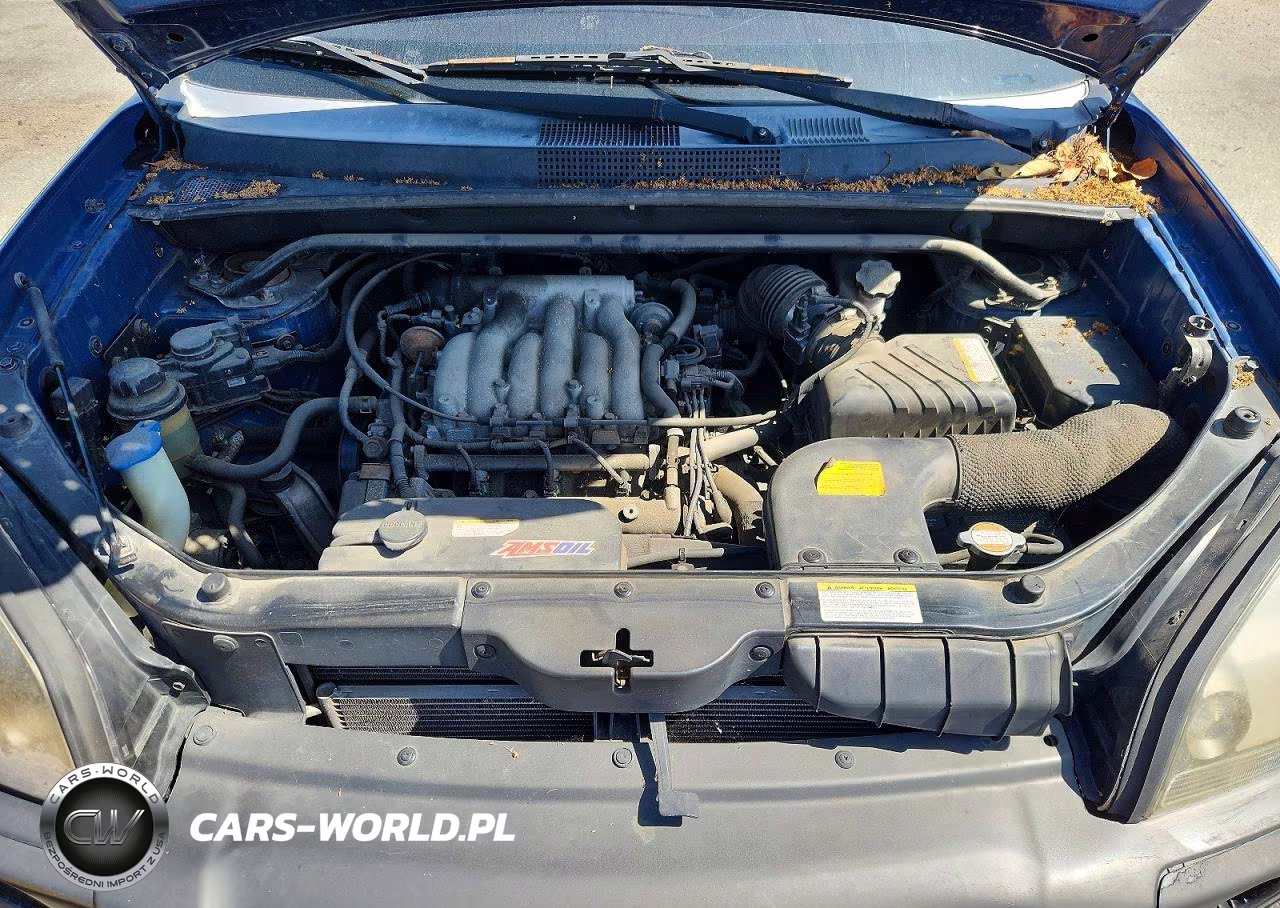 2006 Hyundai Tucson Gls VIN:KM8JN12DX6U282169 - 11