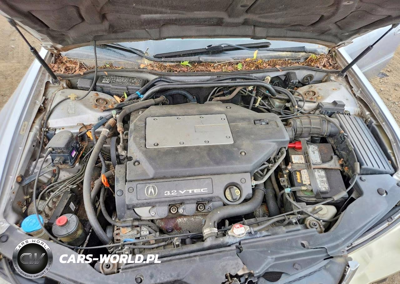 2003 Acura 3.2Tl VIN:19UUA56633A090123 - 11
