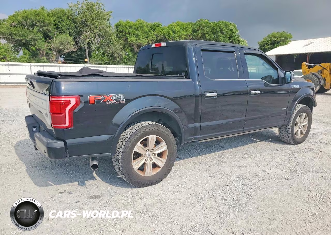 2017 Ford F150 Supercrew VIN:1FTEW1EG7HFC16209 - 3