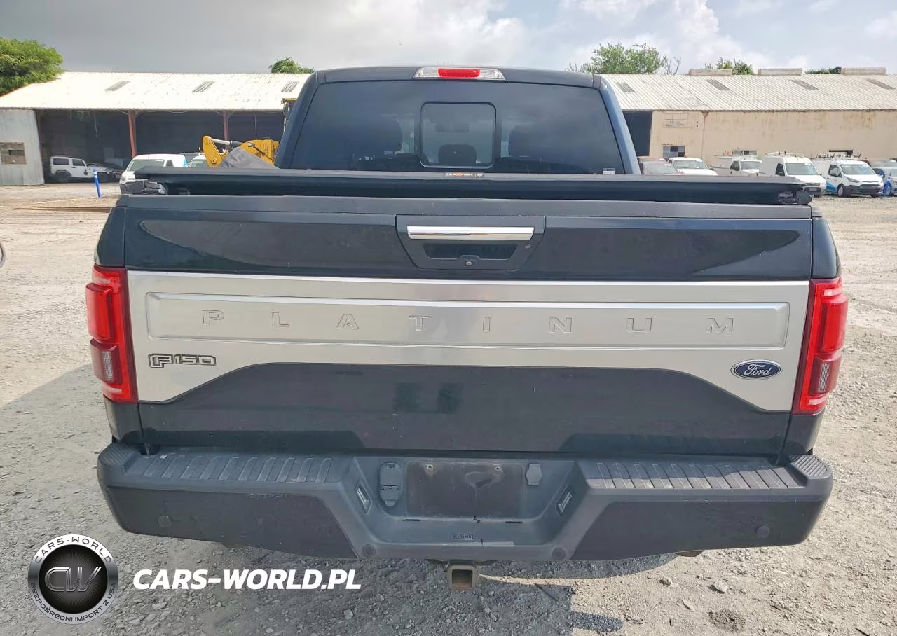 2017 Ford F150 Supercrew VIN:1FTEW1EG7HFC16209 - 6