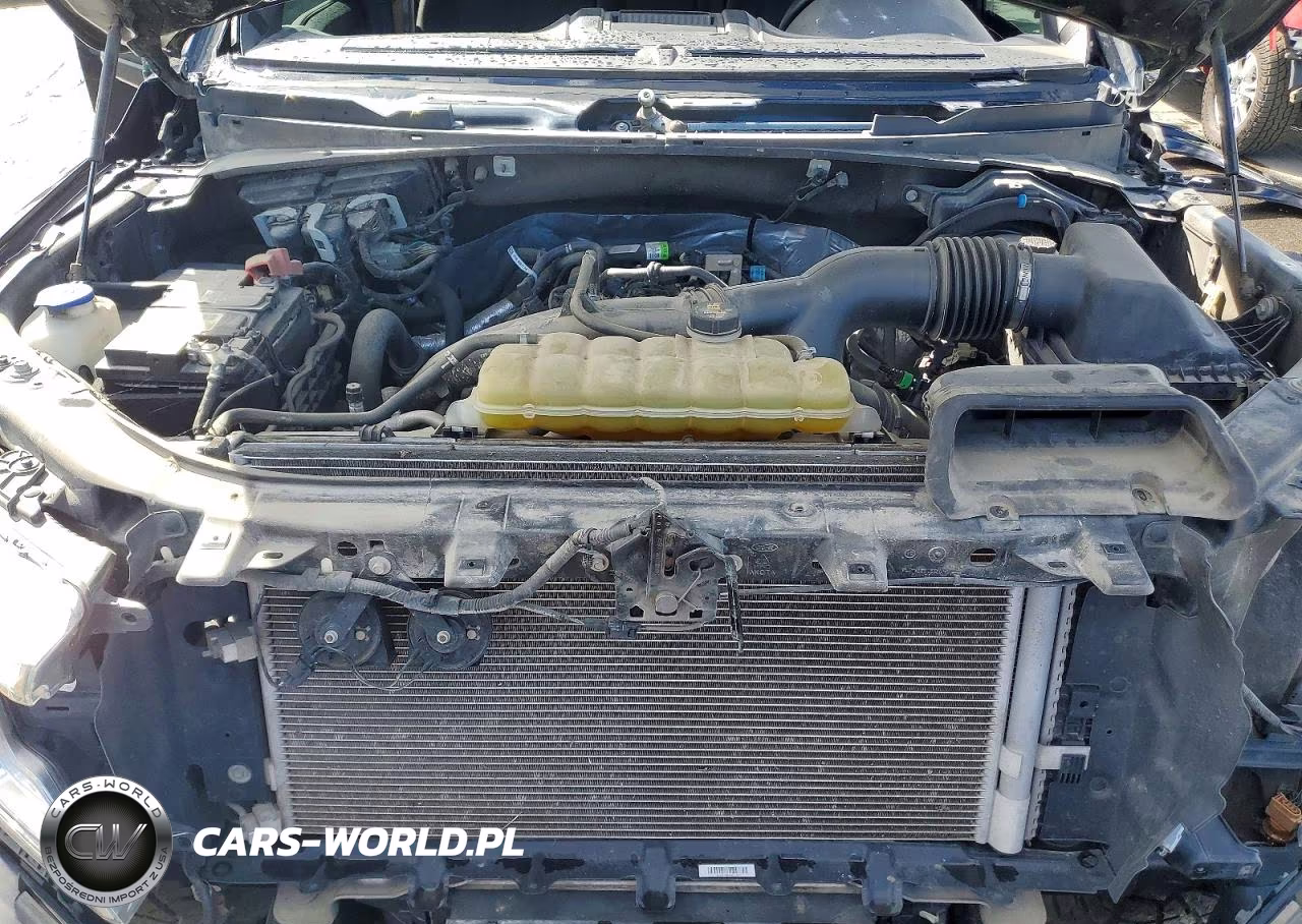 2019 Ford F150 Supercrew VIN:1FTEW1EP5KKF26924 - 11