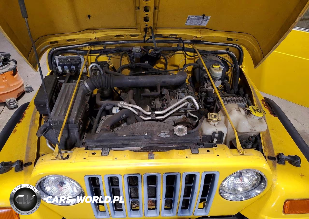 2004 Jeep Wrangler X VIN:1J4FA39S04P751040 - 11