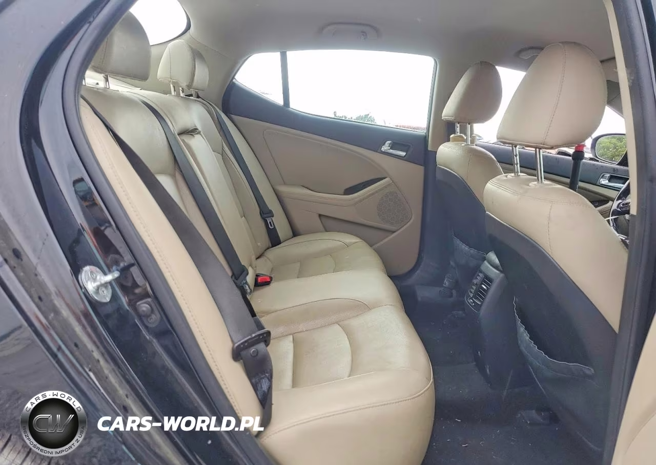 2015 Kia Optima Ex VIN:5XXGN4A71FG402247 - 10