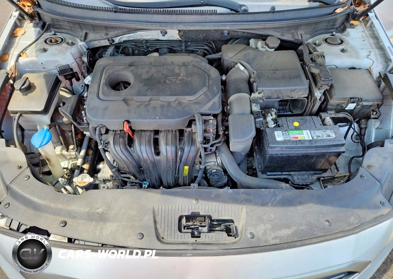 2016 Hyundai Sonata Se VIN:5NPE24AF8GH304409 - 11